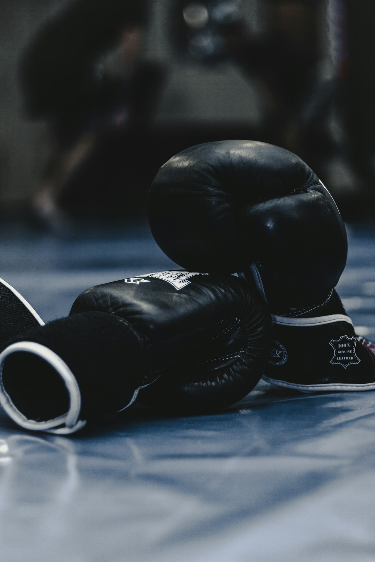 Boxing gear